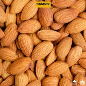 Alternative view of কাঠবাদাম | Almond