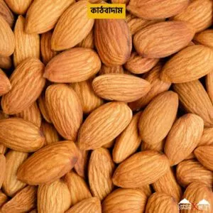 Alternative view of কাঠবাদাম | Almond