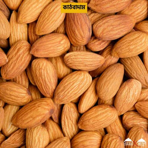 Alternative view of কাঠবাদাম | Almond