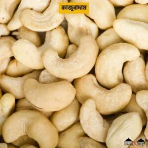কাজুবাদাম | Cashew Nuts
