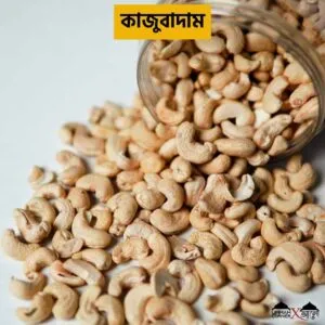 কাজুবাদাম | Cashew Nuts