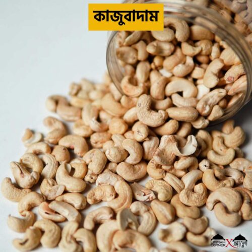 কাজুবাদাম | Cashew Nuts