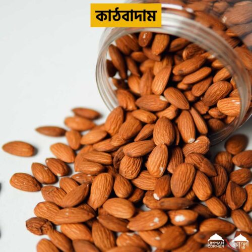 Almond Nuts – Healthy Organic Superfood from Ummah Corner