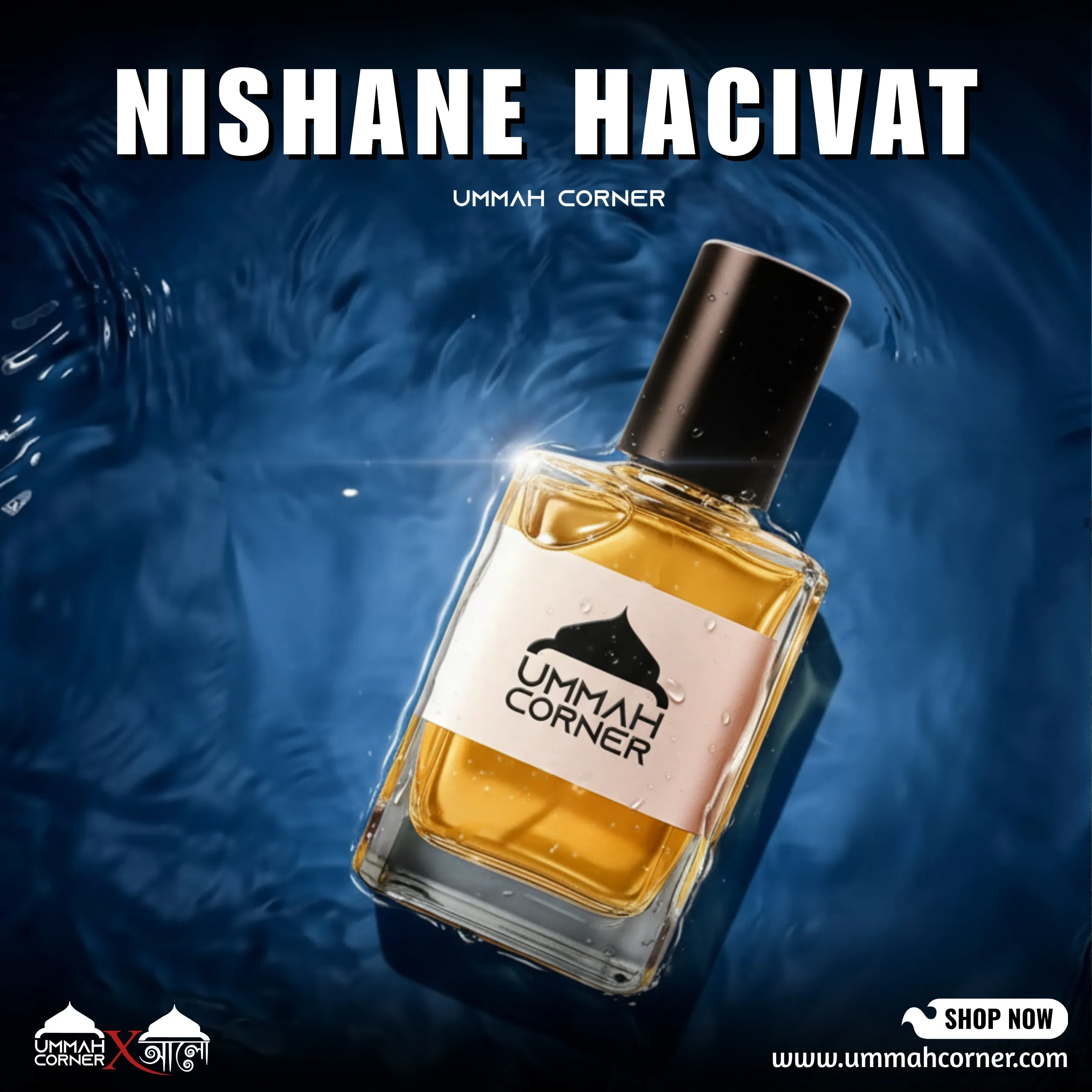 Nishane Hacivat Perfume Oil – Dubai Imported Long Lasting Citrus Woody Non Alcoholic Attar